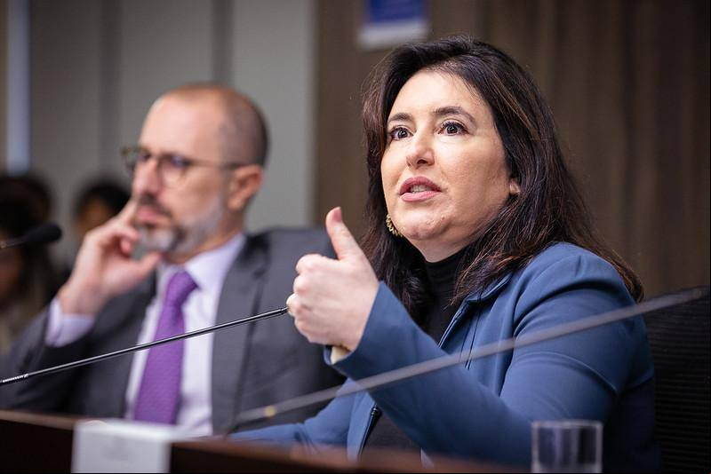 A ministra do Planejamento e Orçamento, Simone Tebet, apresenta o PLDO 2025 nesta segunda-feira (15)