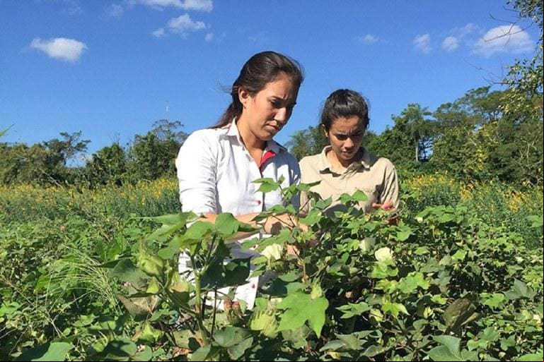 Mulheres rurais também ganham uma linha específica neste Plano Safra da Agricultura Familiar