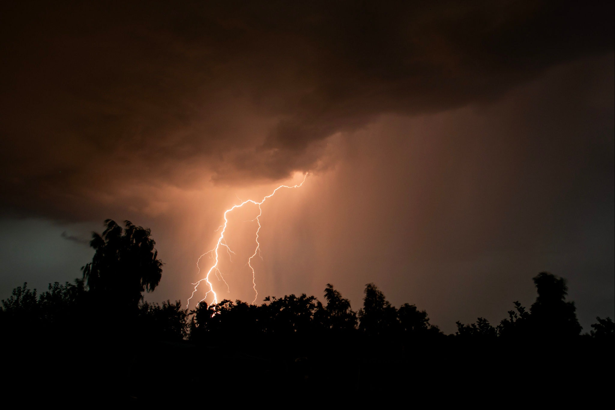 beautiful lightning during a thunderstorm at night in a forest that caused a fire, against a dark sky with rain