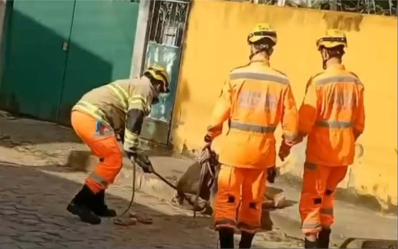 Idosa foi socorrida pelos bombeiros