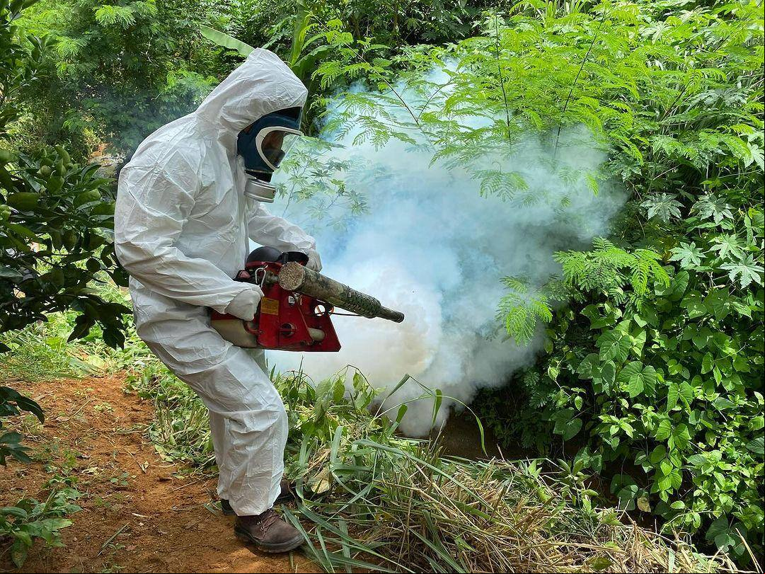 Prefeitura de Ipatinga afirmou que tem intensificado ações para conter as doenças