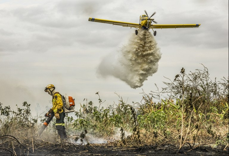 Brigadista combate o fogo em terra enquanto um avião joga água sobre as chamas de um incêndio no Pantanal