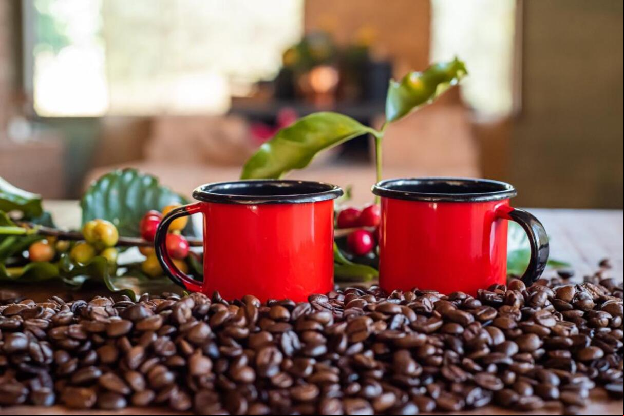 O Vale do Café é uma região fluminense onde o café foi a principal fonte de renda no Século XIX