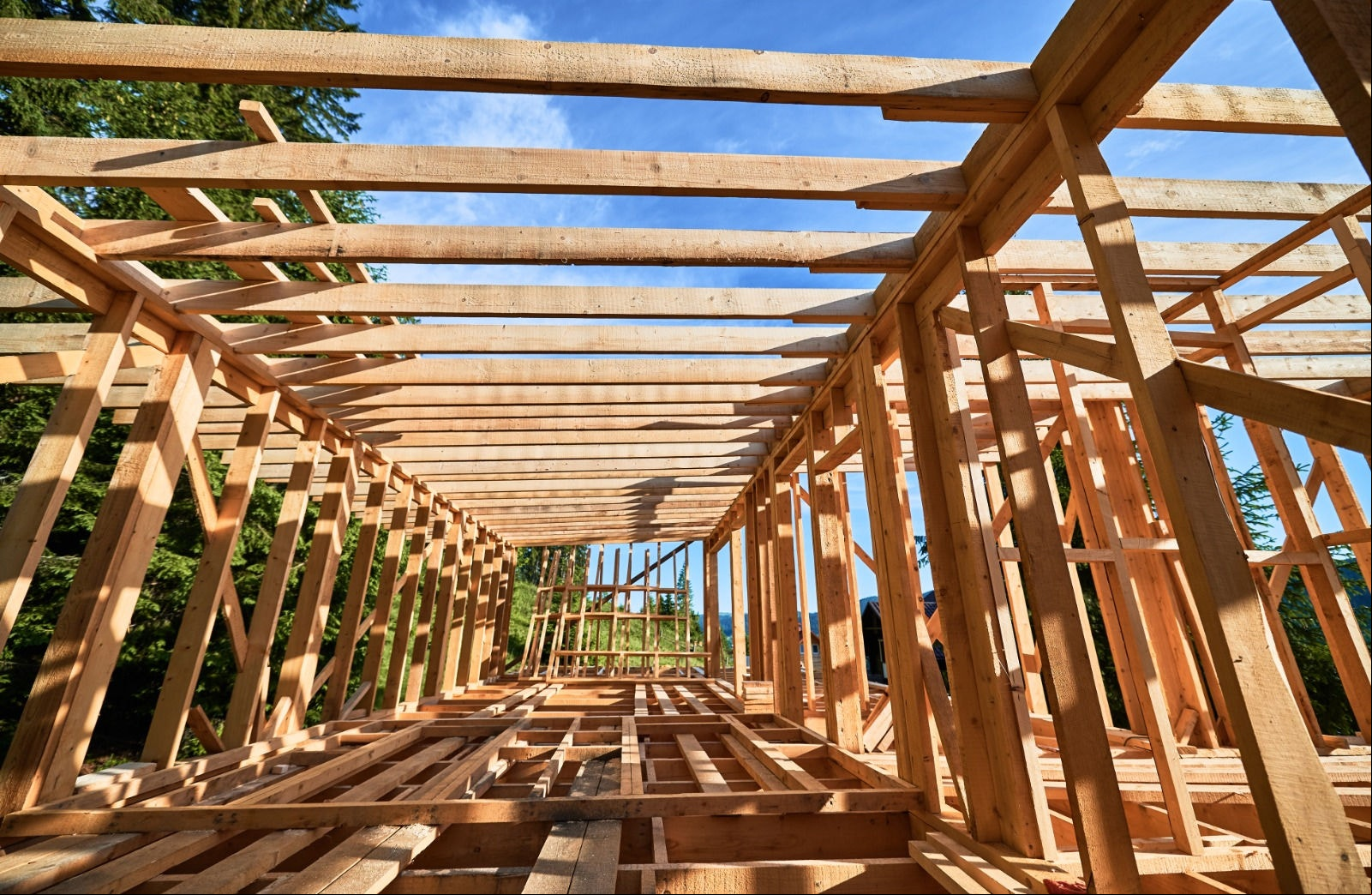 Madeira é opção de matéria-prima mais sustentável para a construção